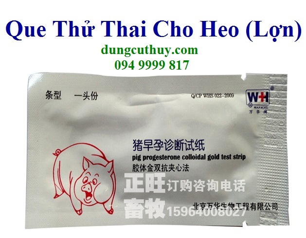 Thời gian nào là thích hợp để sử dụng que thử thai cho heo? 
