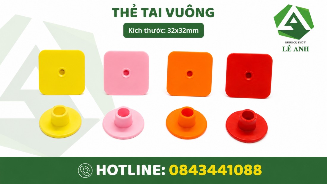 the tai heo con